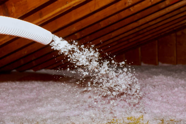 Best Types of Insulation in Lakewood, CO