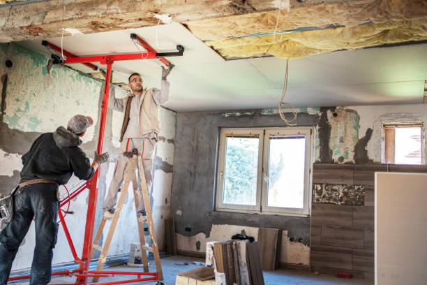 Best Insulation Maintenance and Repair in Lakewood, CO