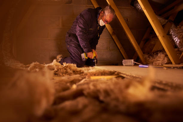 Best Residential Insulation in Lakewood, CO